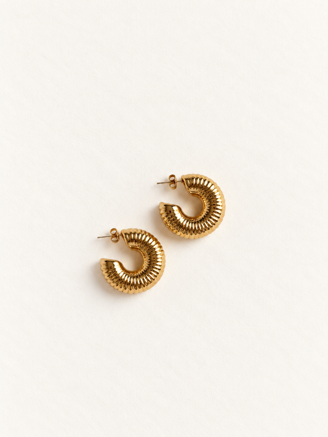 Boucles d'oreilles Fossil